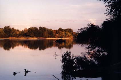  Étendue d'eau bordée de végétation au crépuscule. 
